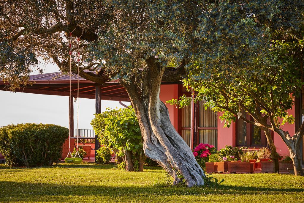 Villa La Tartaruga Sabina Palombara Sabina Extérieur photo